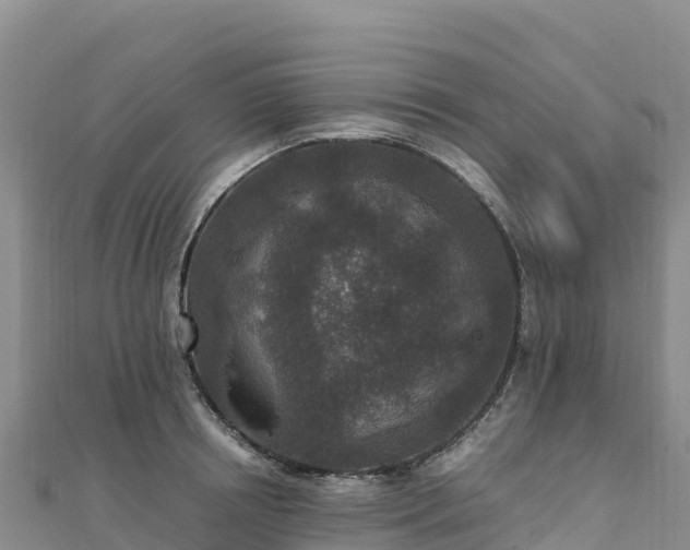 X0000110730850200906191524