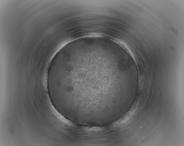 X0000110730851200906191524