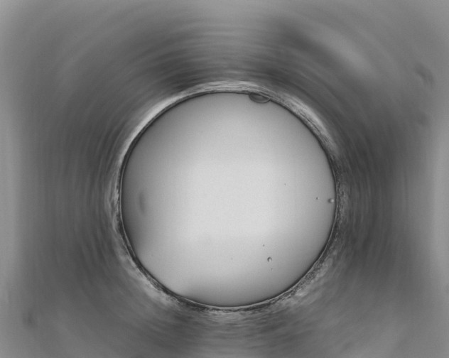 X0000110730852200906191524