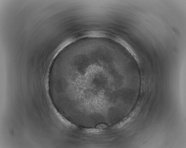 X0000110730853200906191524