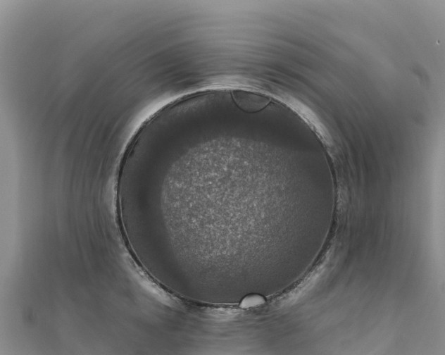 X0000110730854200906191524