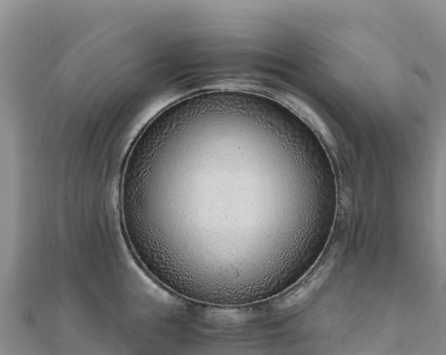 X0000110730855200906191524