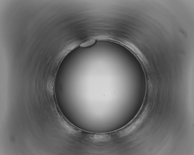 X0000110730857200906191524