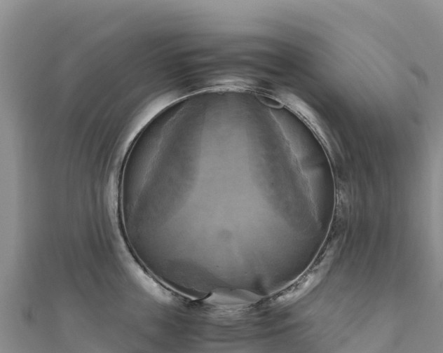 X0000110730859200906191524