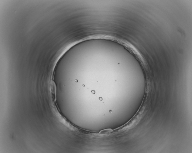 X0000110730860200906191524