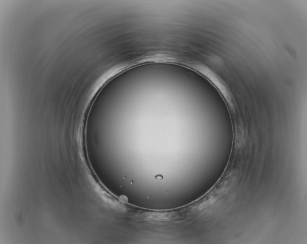 X0000110730861200906191524