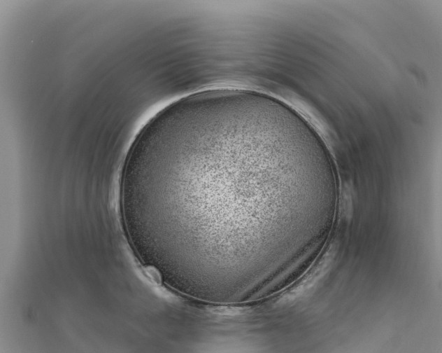 X0000110730862200906191524