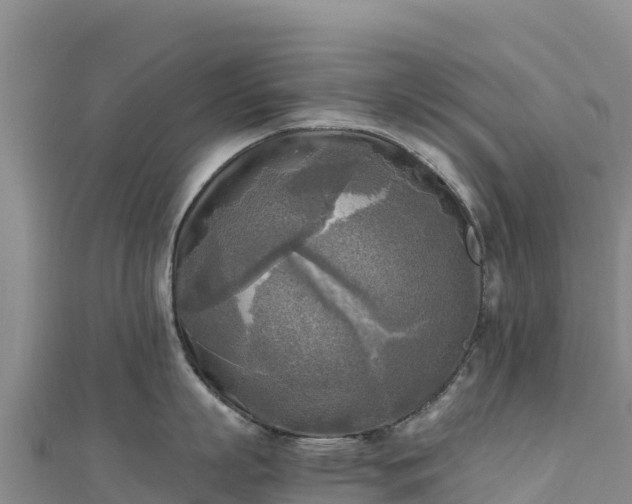 X0000110730863200906191524