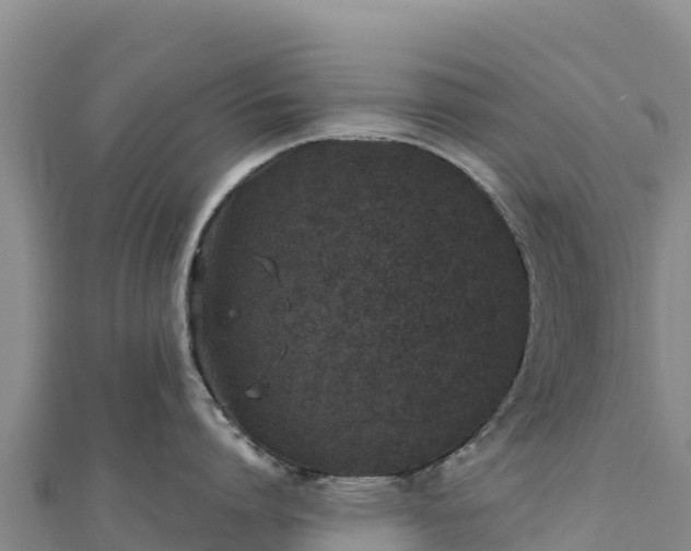 X0000110730864200906191524