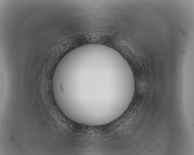 X0000110730865200906191524