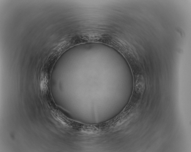 X0000110730866200906191524