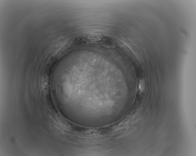 X0000110730867200906191524