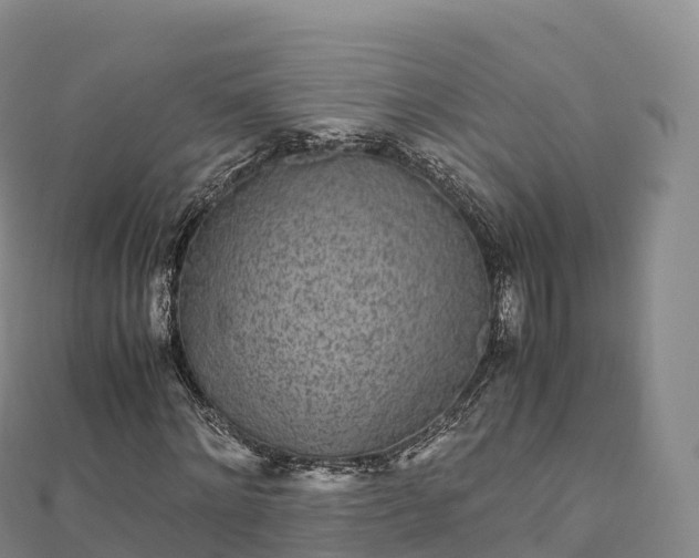 X0000110730868200906191524