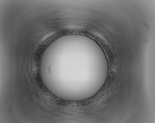 X0000110730869200906191524