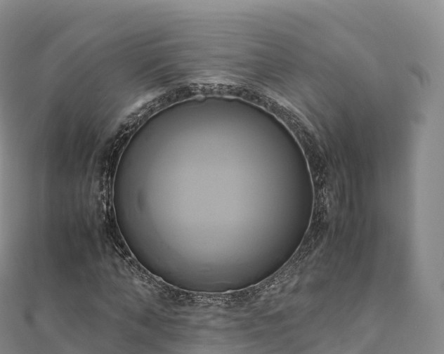 X0000110730870200906191524