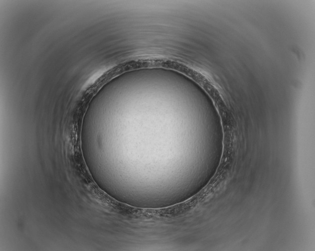 X0000110730871200906191524