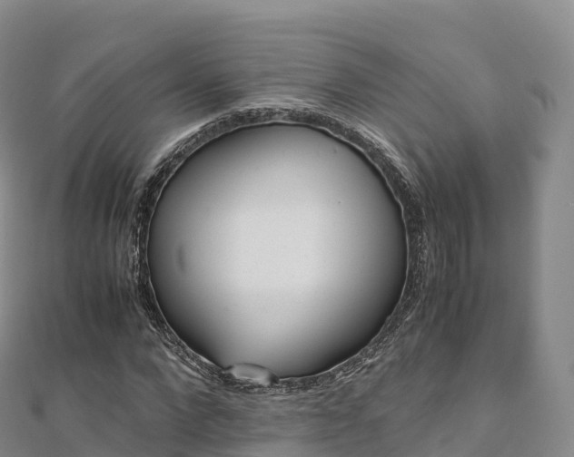 X0000110730872200906191524