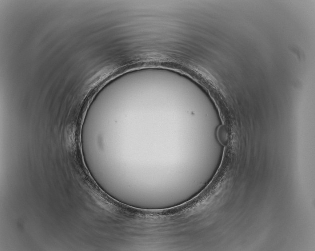 X0000110730873200906191524