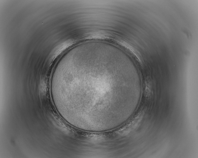 X0000110730874200906191524