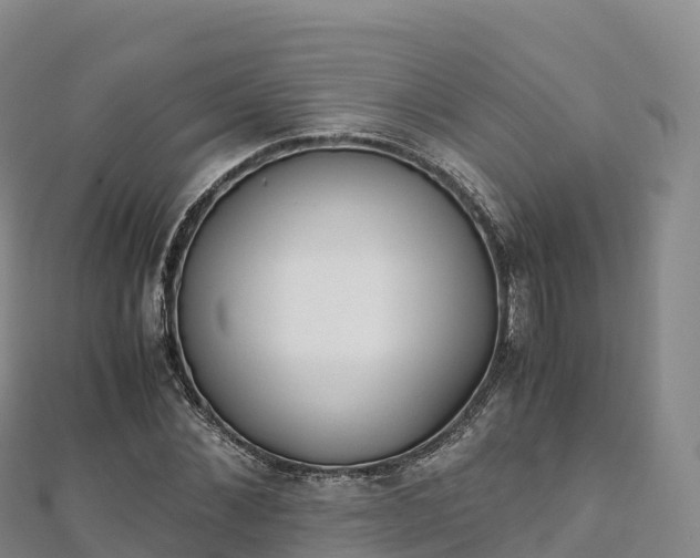 X0000110730876200906191524