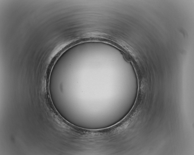 X0000110730877200906191524