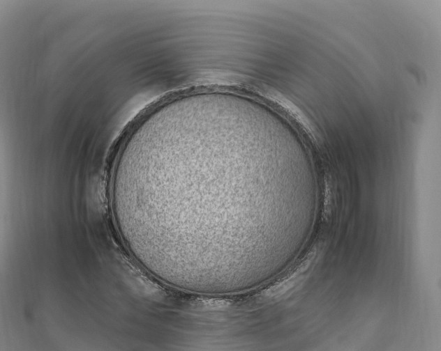 X0000110730878200906191524