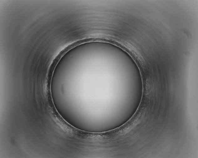 X0000110730880200906191524