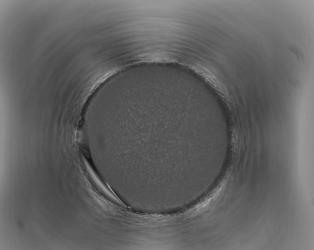 X0000110730881200906191524