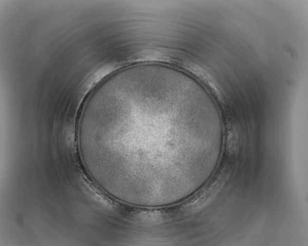 X0000110730882200906191524