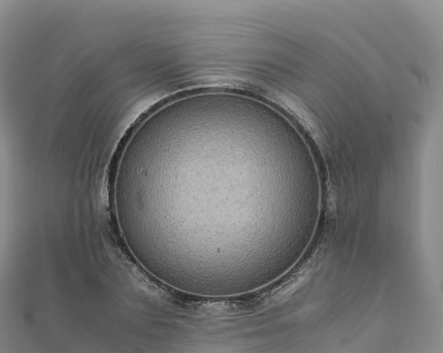 X0000110730883200906191524