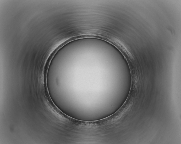 X0000110730884200906191524