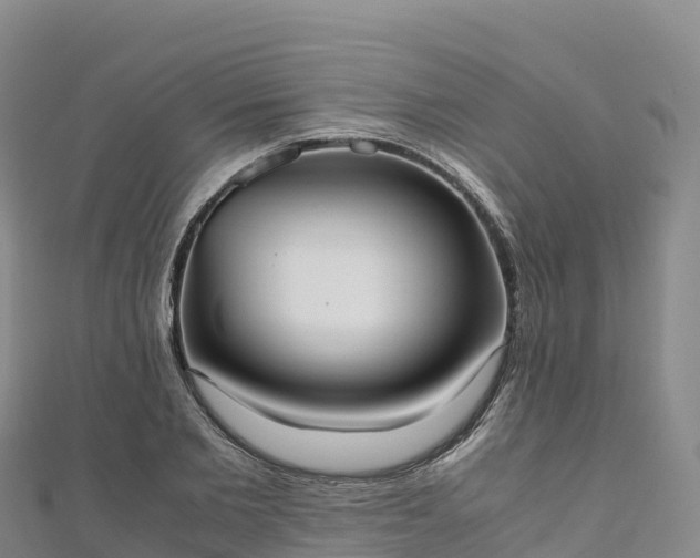 X0000110730885200906191524