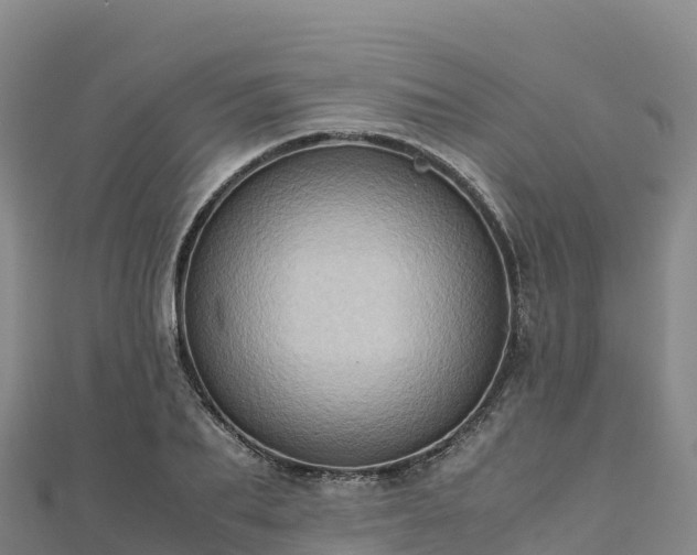 X0000110730887200906191524