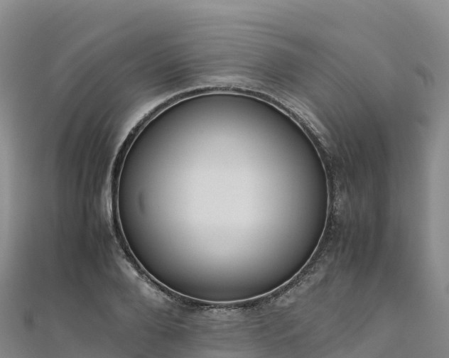 X0000110730888200906191524