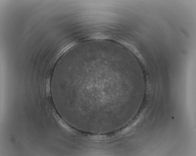 X0000110730889200906191524