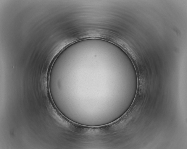 X0000110730890200906191524