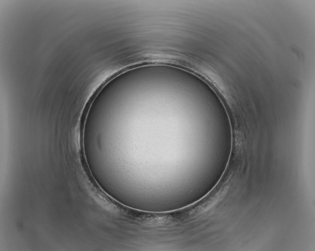 X0000110730891200906191524