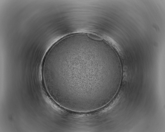 X0000110730892200906191523