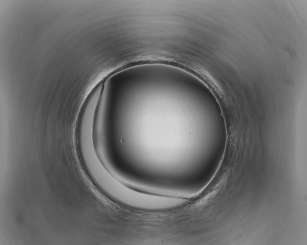 X0000110730893200906191523