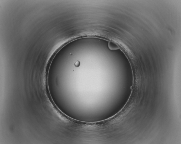 X0000110730894200906191523