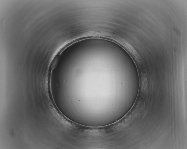 X0000110730896200906191523