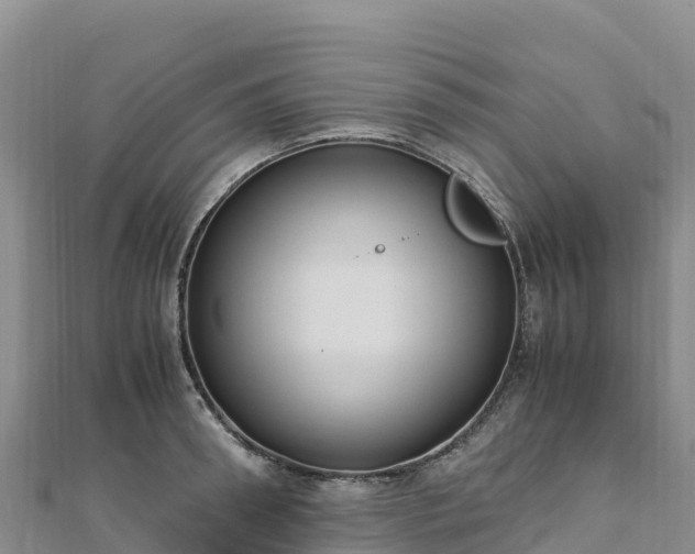 X0000110730898200906191523