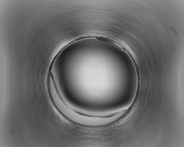 X0000110730901200906191523