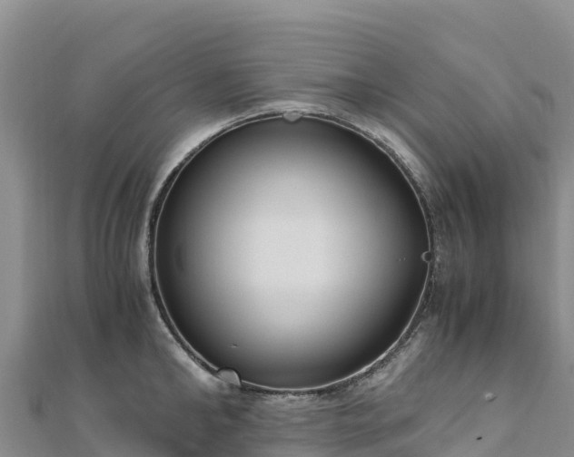 X0000110730902200906191523