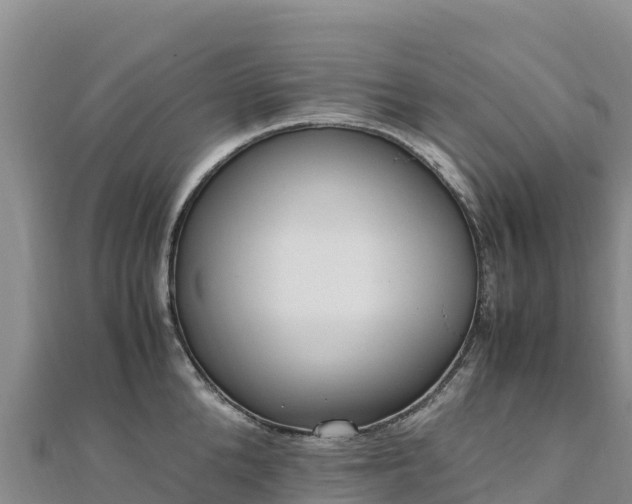 X0000110730904200906191523