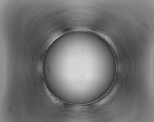 X0000110730905200906191523