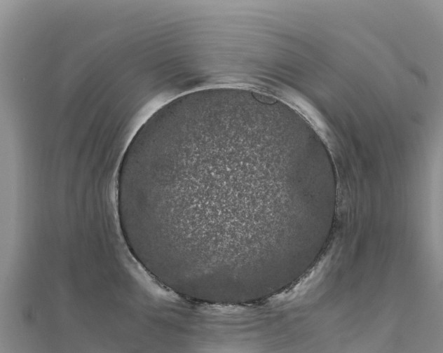 X0000110730907200906191523