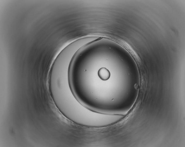 X0000110730908200906191523