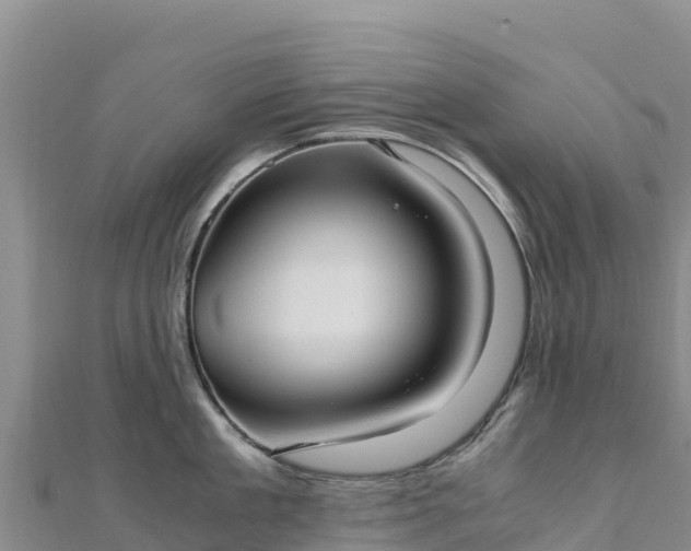 X0000110730909200906191523