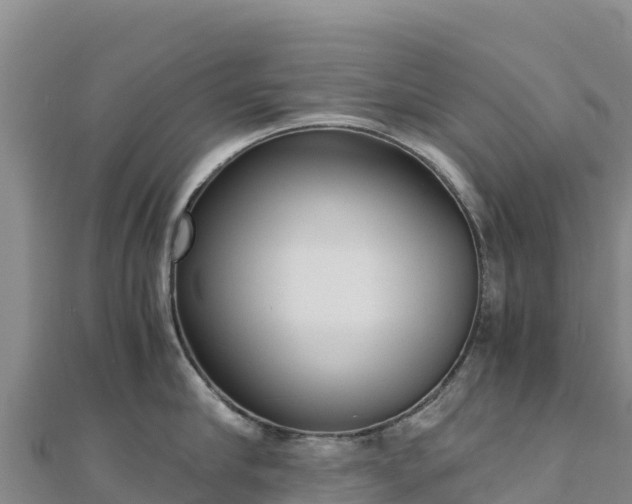 X0000110730910200906191523